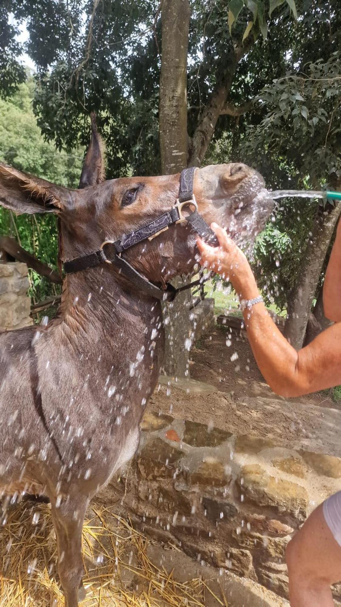 El Raco Dels Mussols 1 Villa Canet de Adri Kültér fotó